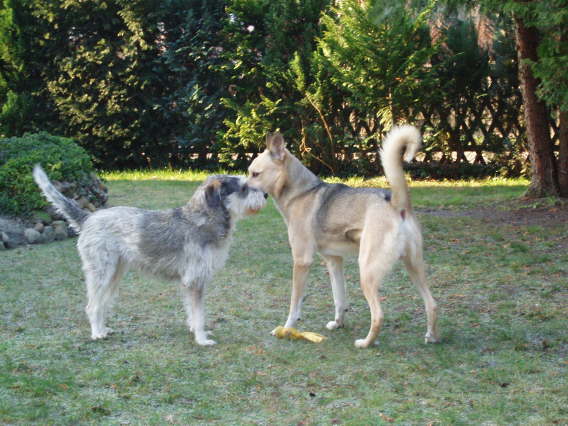 Kaito&Lizzy Dezember 2008~1