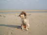 St. Peter-Ording 2005~2