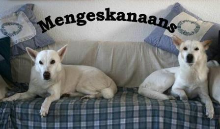 logo_mengeskanaans