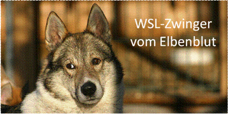 logo_vom_elbenblut